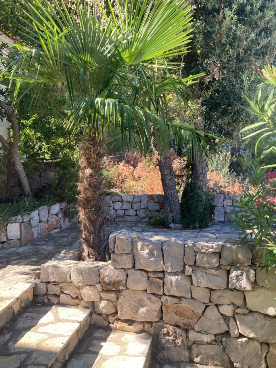 Garden, Garden
