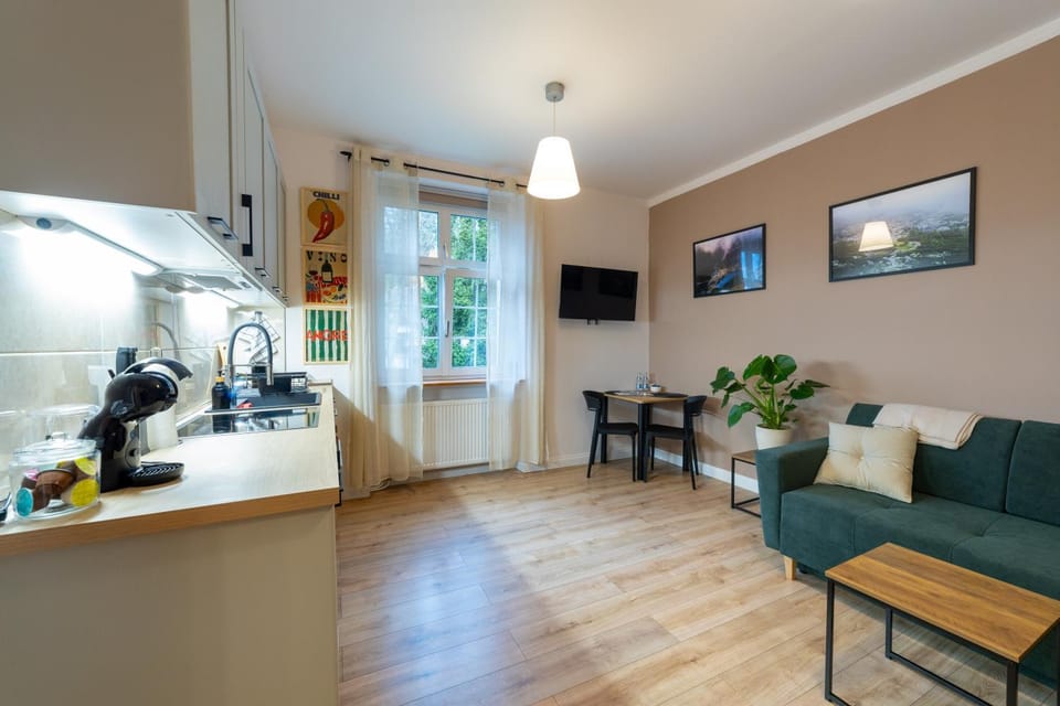 TV and multimedia, Kitchen or kitchenette, Living room, Seating area, Dining area, minibar, oven, stove