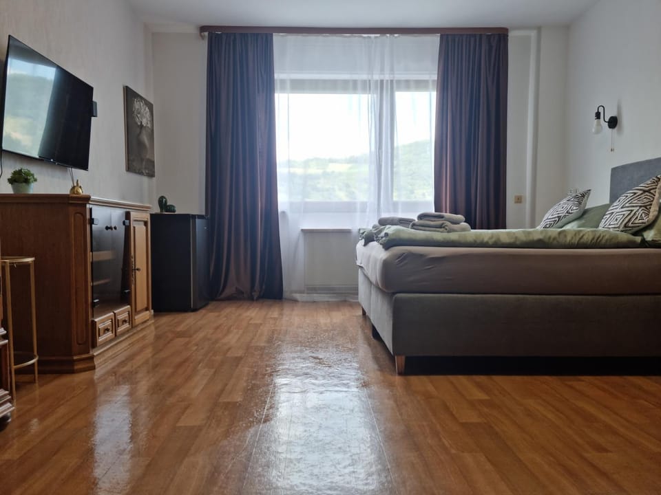 Gästehaus Ritz Apartment in Trier-Saarburg