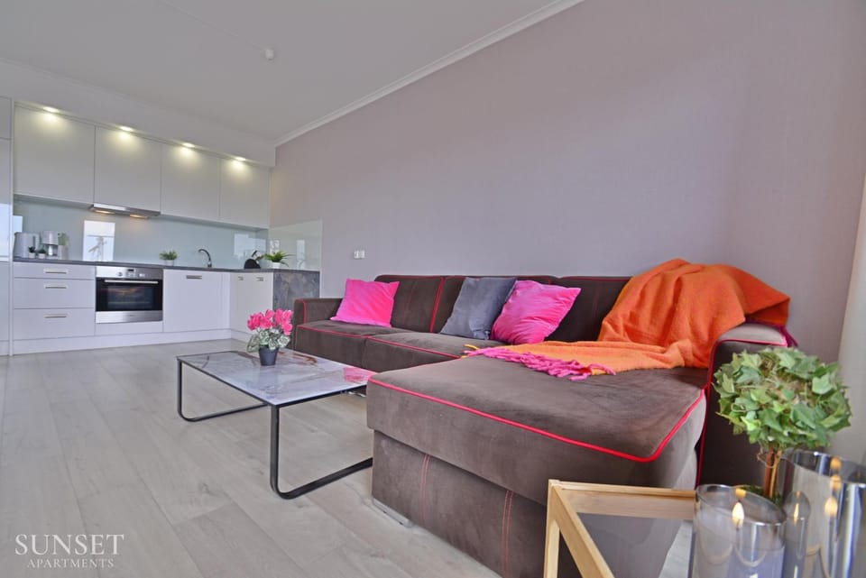 Kitchen or kitchenette, Living room, Seating area, oven, stove