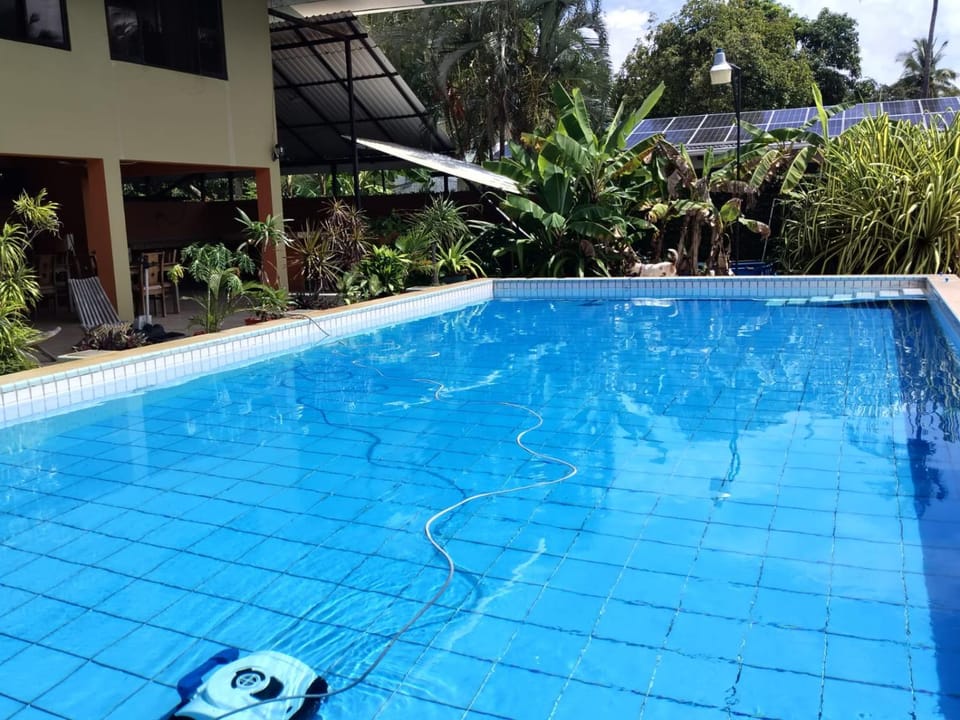 Pool view, Swimming pool