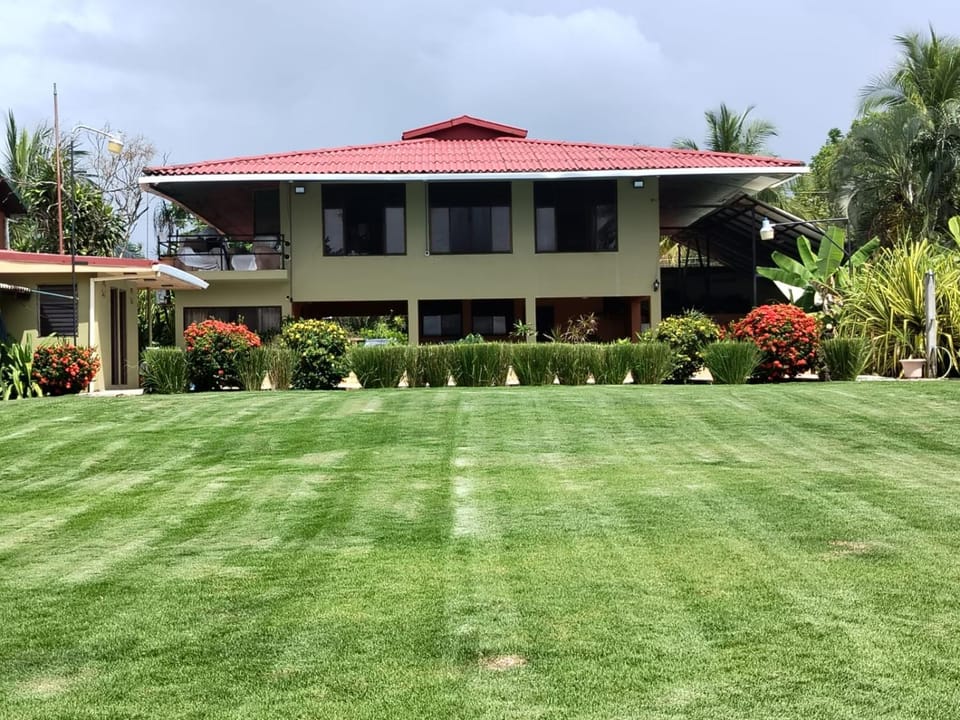 Garden view