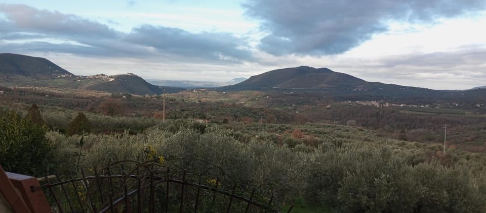 View (from property/room)