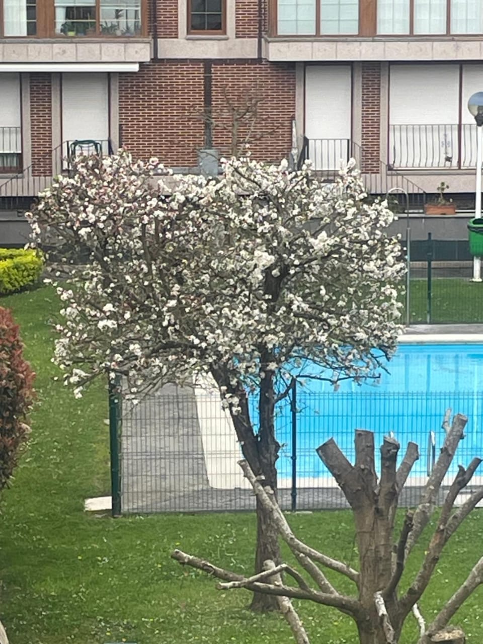 Garden view, Swimming pool