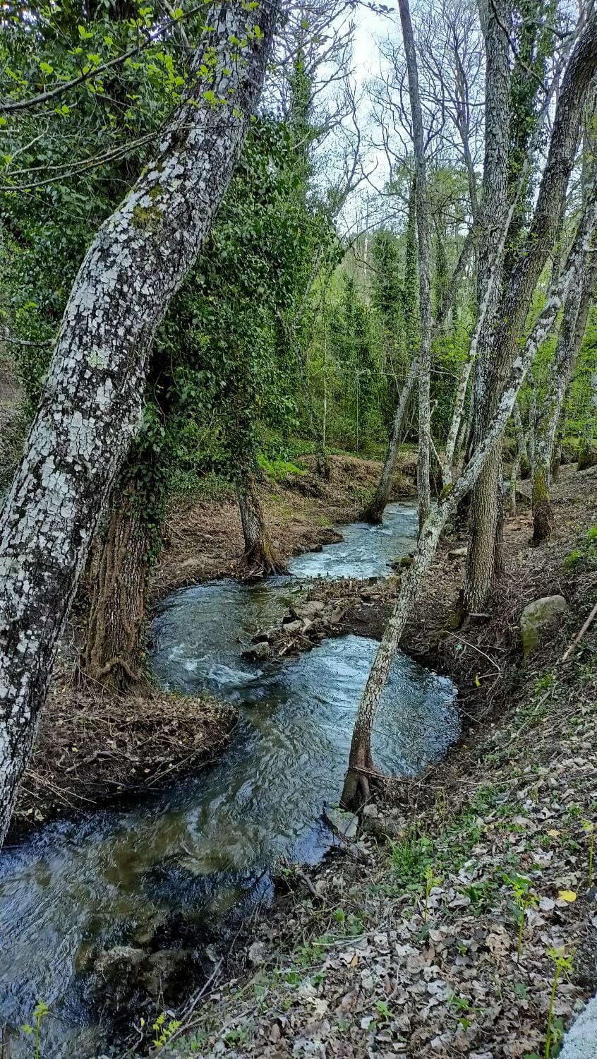Nearby landmark, Natural landscape