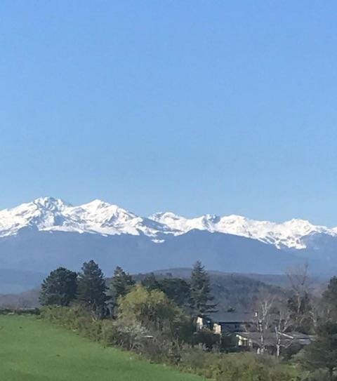 View (from property/room)