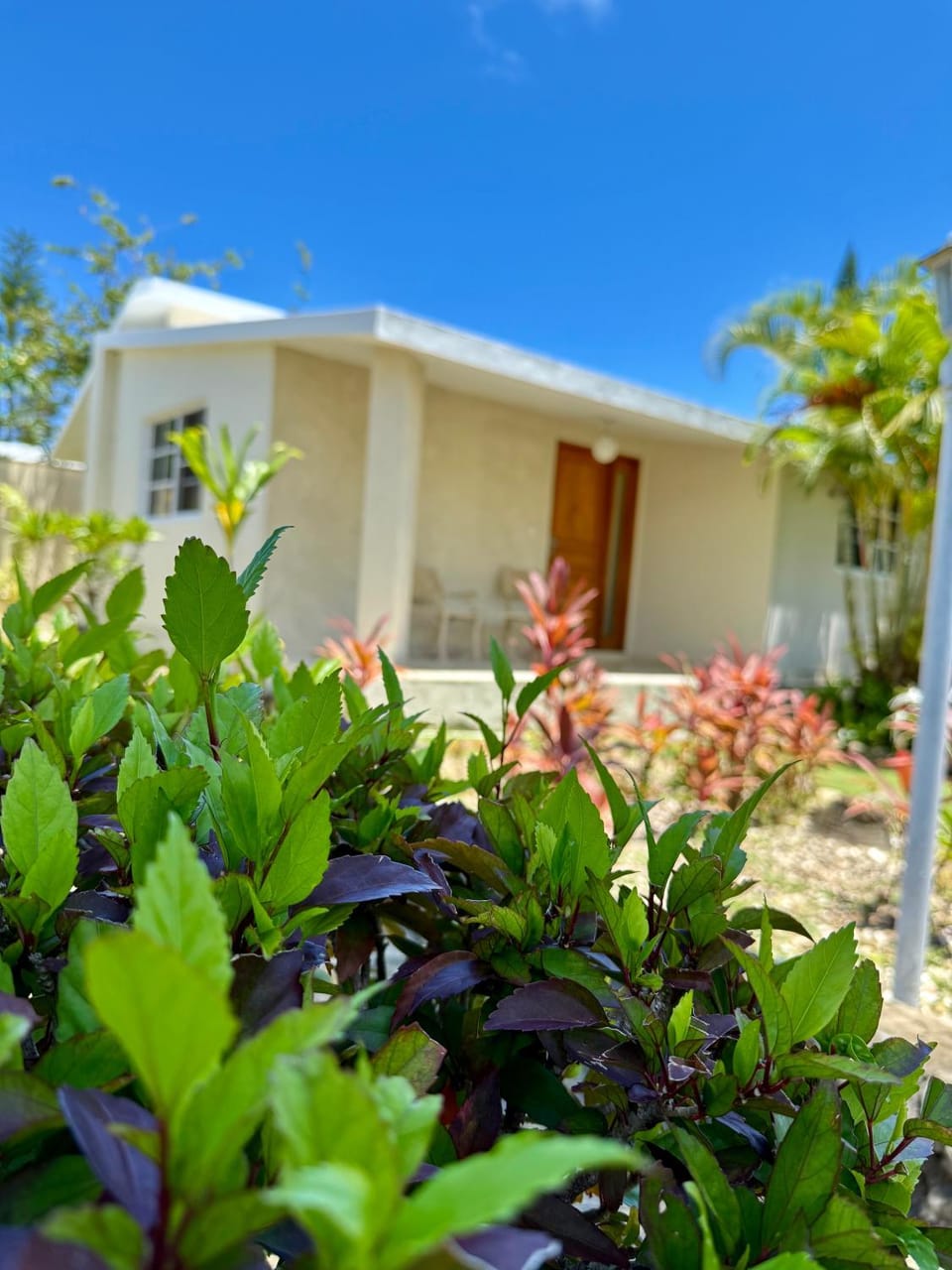 Villas Jazmin Villa in Puerto Plata