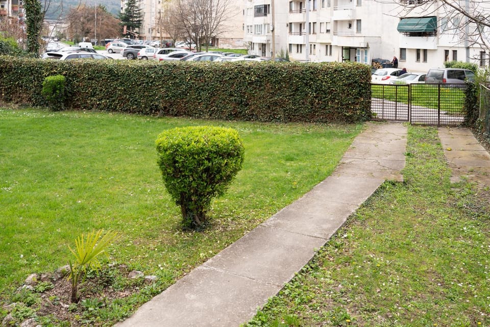Day, Neighbourhood, Garden, View (from property/room), Garden view, Location, Quiet street view