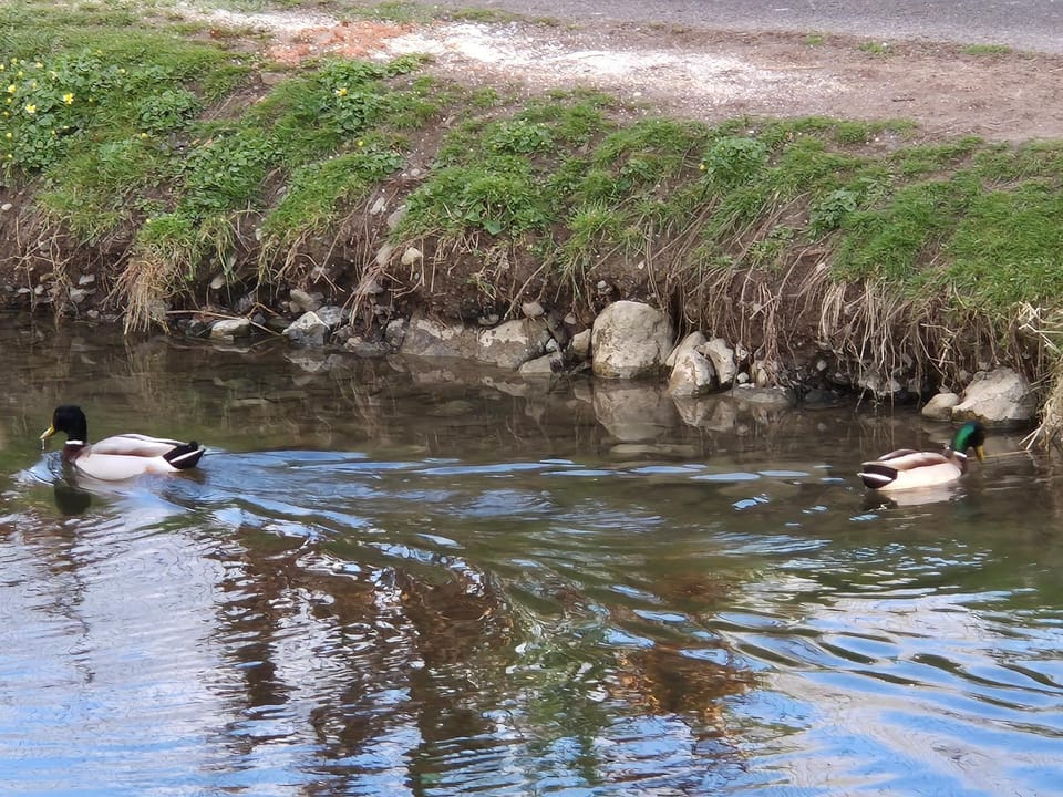 The Lodge Apartment in Westmeath, Co. Westmeath, Ireland