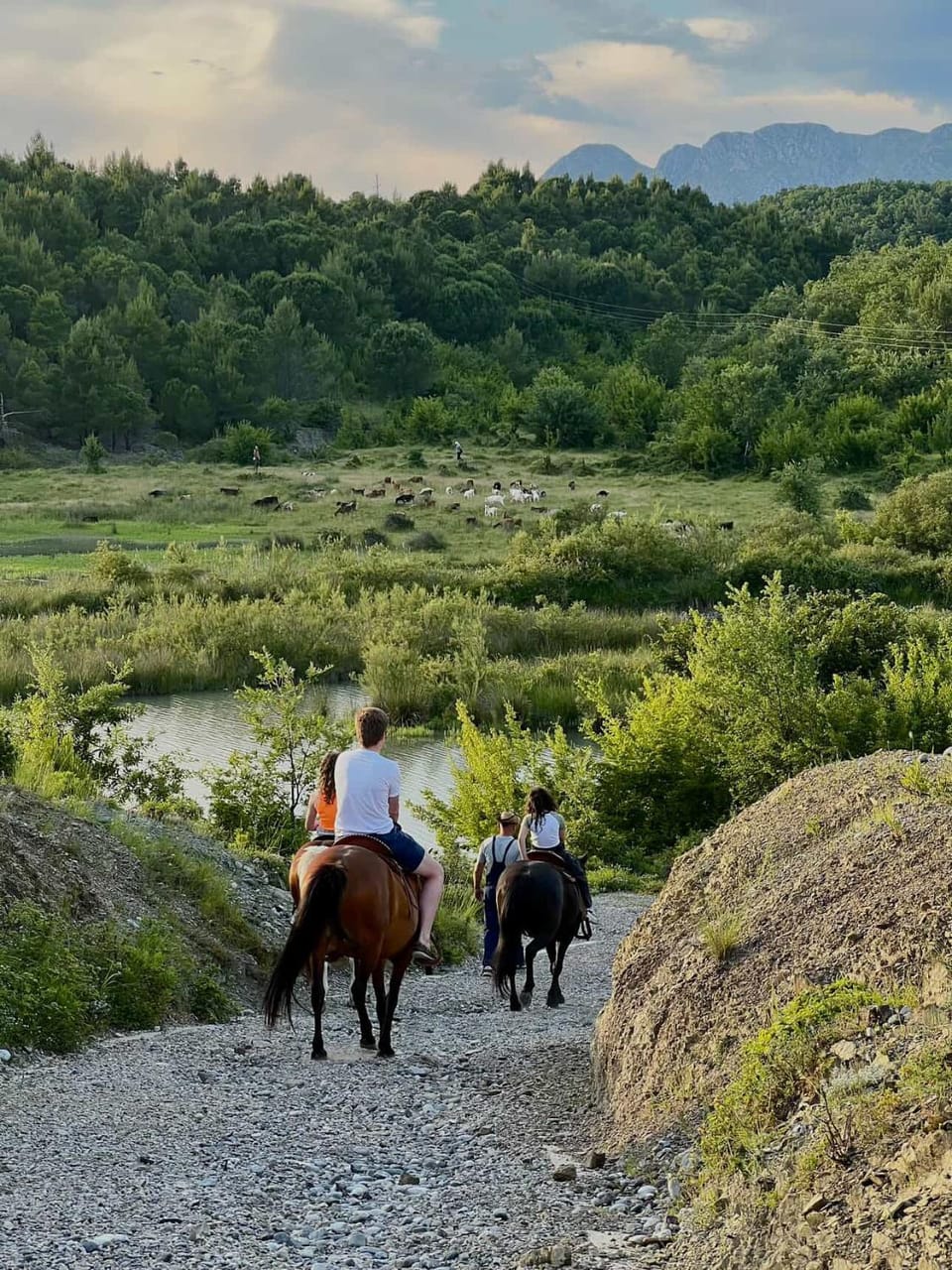 Day, People, Natural landscape, Horse-riding, Animals, Lake view, Mountain view, group of guests