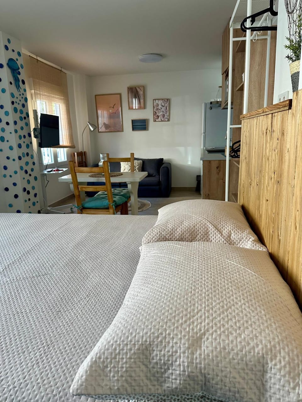 Bed, TV and multimedia, Kitchen or kitchenette, Living room, Photo of the whole room, Seating area, Dining area, Bedroom