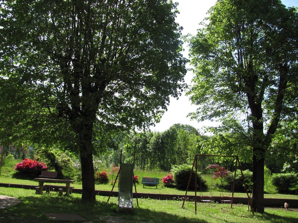 Spring, Summer, Garden, On site, Garden view