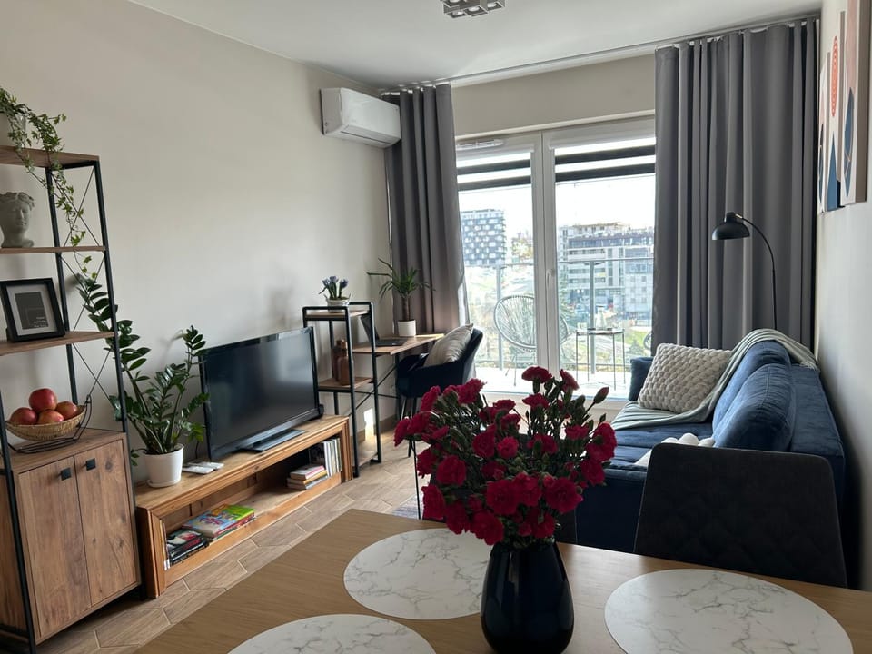 Living room, Seating area, air conditioner