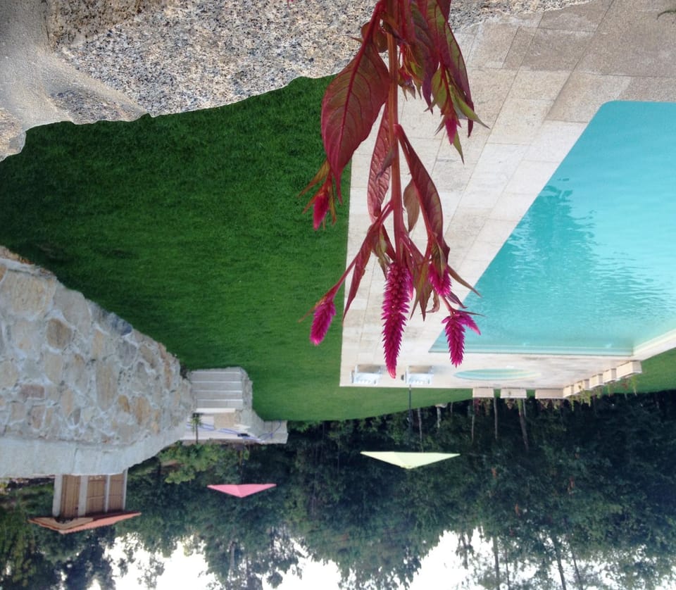Garden, Balcony/Terrace, Pool view
