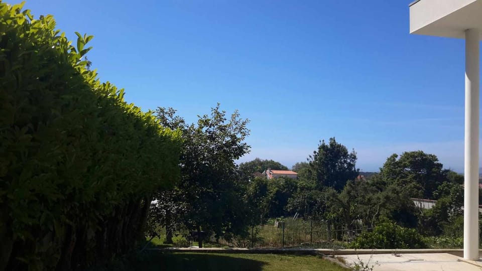 Natural landscape, Garden view