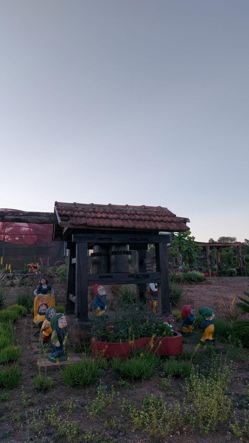 Acomodação do Viveiro Bela Flor House in State of Goiás