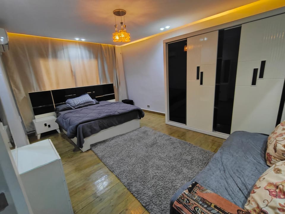دوبلكس علي النيل Apartment in Cairo