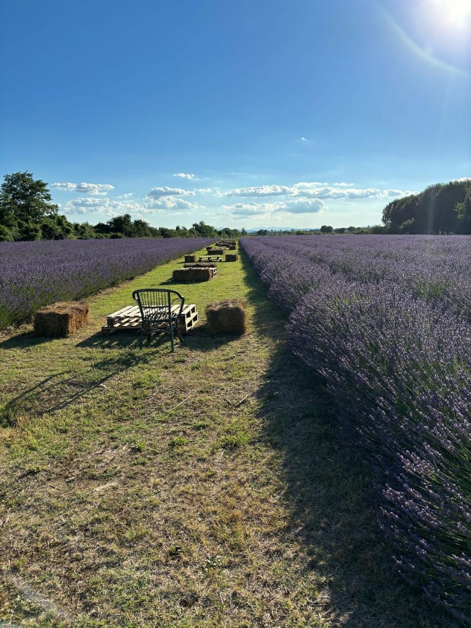 Residenza SOTTO IL CAMPANILE House in Rapolano Terme