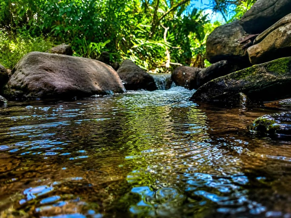 River view
