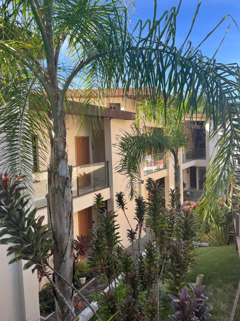 Property building, Garden, Garden view