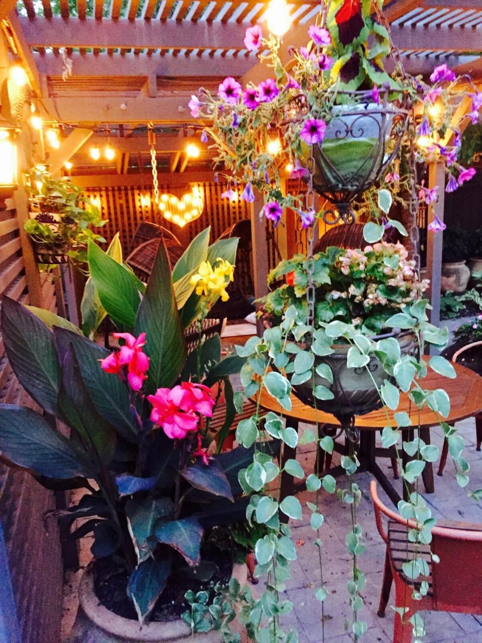 Patio, Garden, Garden