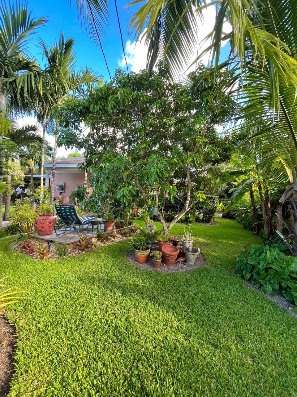 Garden view