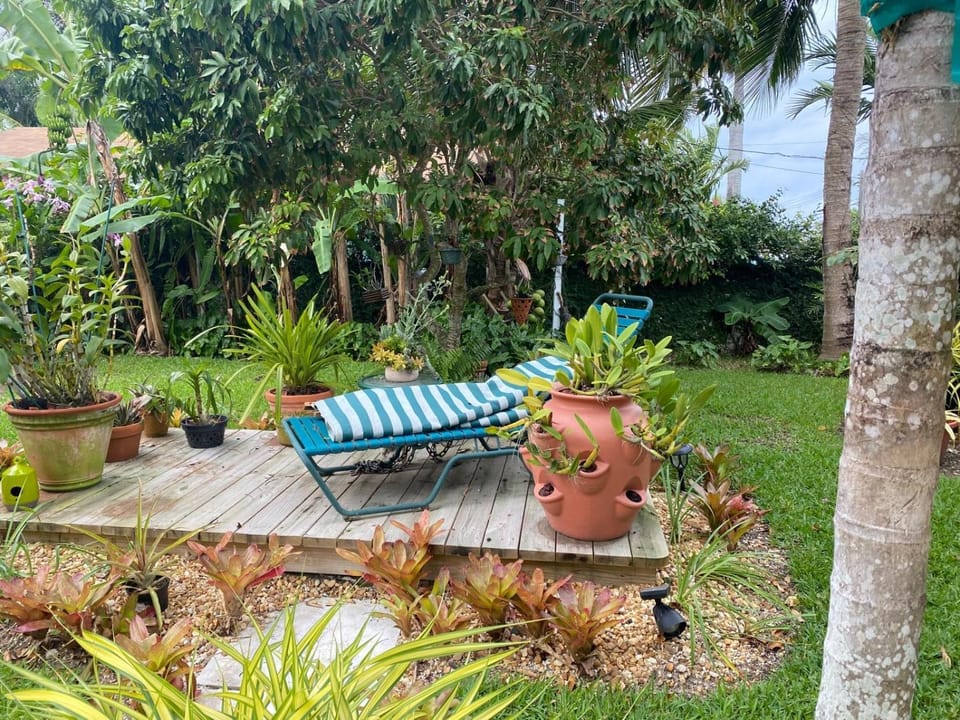 Garden, Garden view