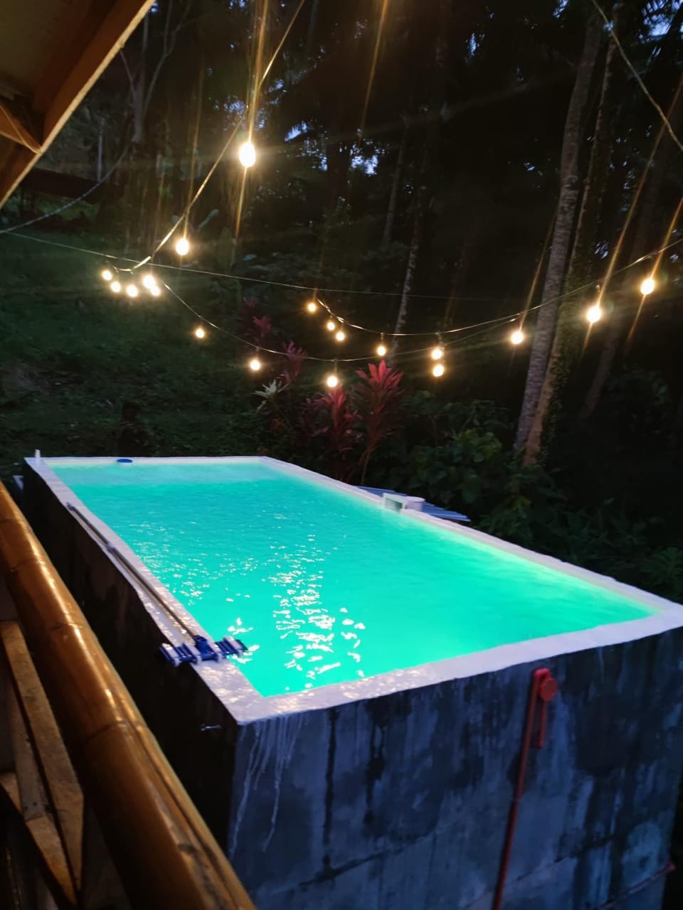 Pool view, Swimming pool