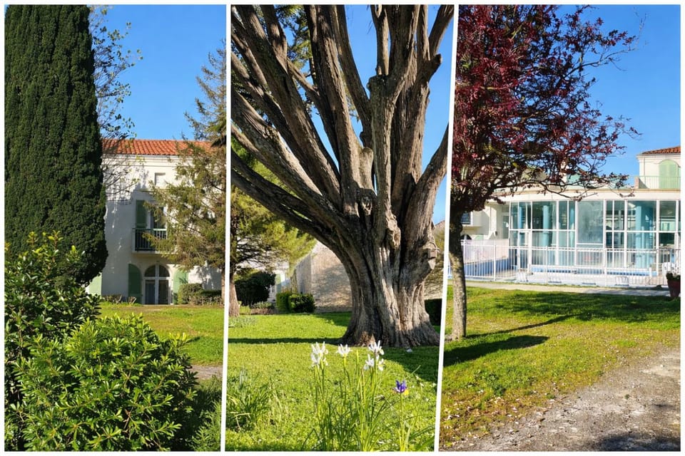 Property building, Garden