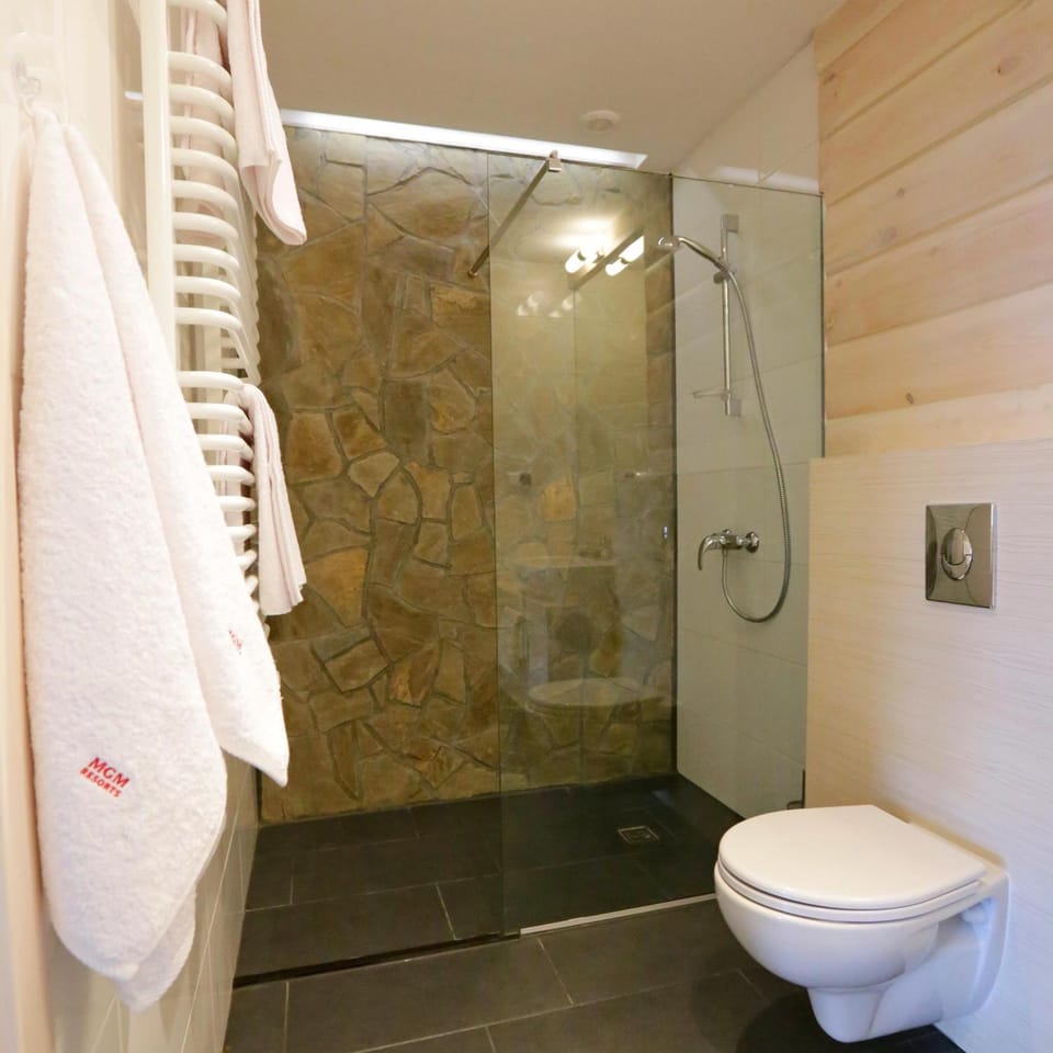Shower, Toilet, Bathroom, towels
