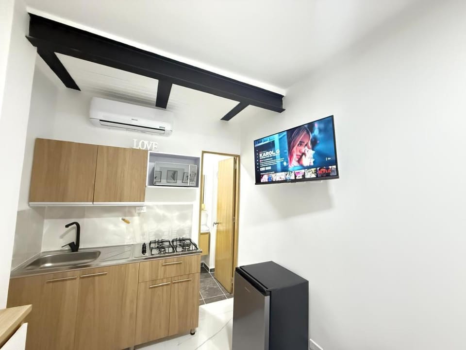 TV and multimedia, Kitchen or kitchenette, minibar, oven, stove, air conditioner