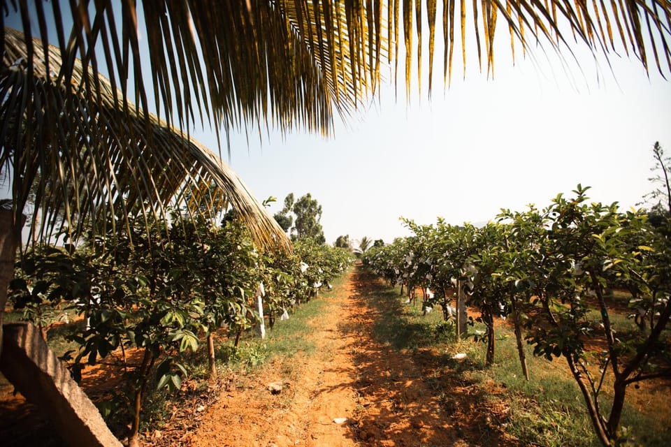 Tropica Farm Stay in Karnataka