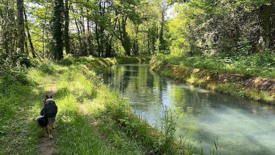 Natural landscape