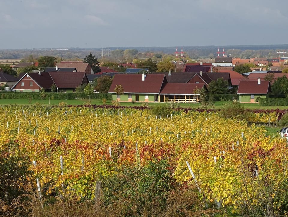 Ubytování Pod Vápenkami Apartment in South Moravian Region