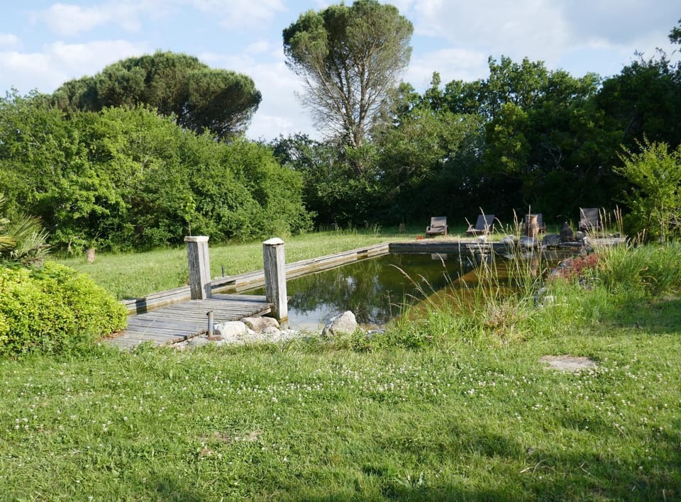 Swimming pool, Open Air Bath