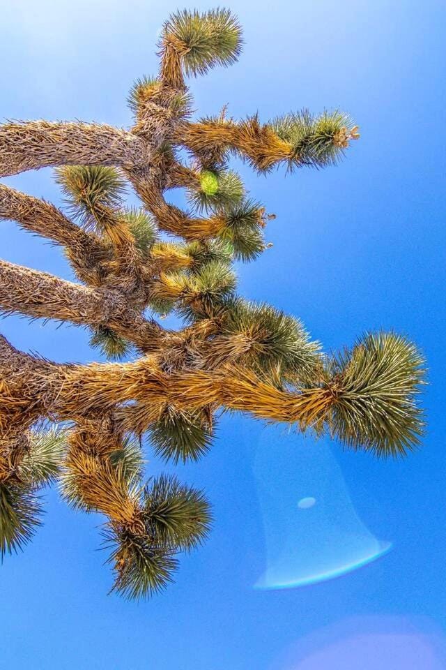 Yucca Valley Glampiing Spot with Hot-Tub and Full Amenities House in Southern California