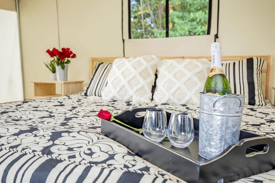 Summer Escape: Hike & Stargaze near Roaring River in Cassville, MO Luxury tent in Roaring River Township