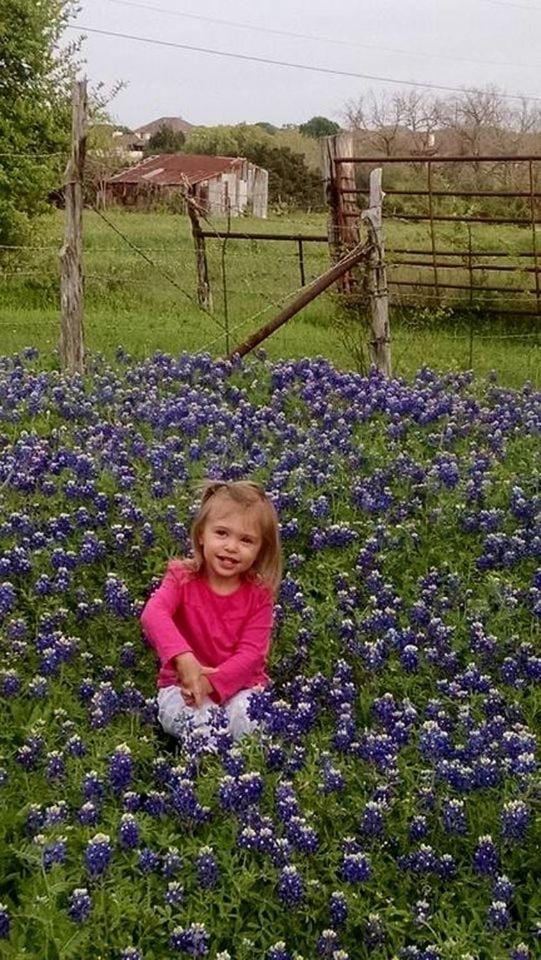 Lovely Cottage Rental with Waterfall on San Gabriel River near Austin, Texas House in Rio Grande