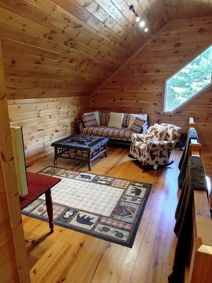 Incredible Cabin with Fireplace and Hot-tub Next to Hiking Trails in Mineral Bluff, Georgia Cabin in Georgia