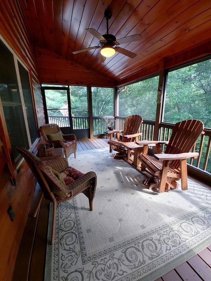 Incredible Cabin with Fireplace and Hot-tub Next to Hiking Trails in Mineral Bluff, Georgia Cabin in Georgia