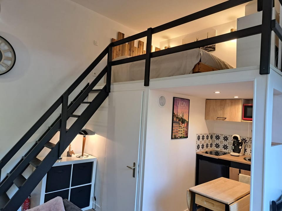 Studio cosy entièrement rénové à deux pas de Lyon Apartment in Auvergne-Rhône-Alpes
