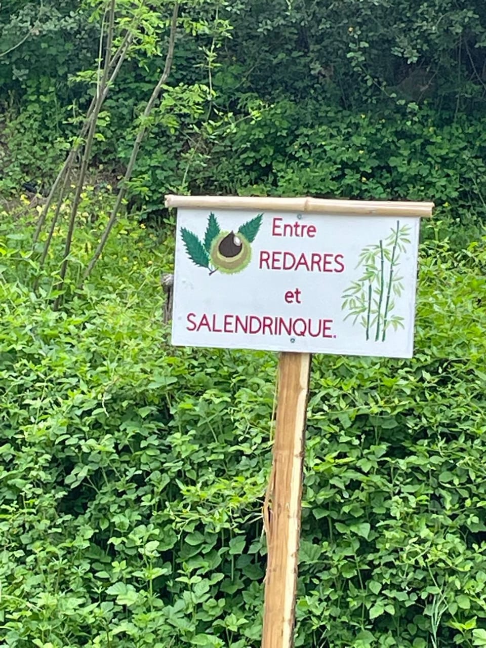 Entre REDARES et SALENDRINQUE Bed and Breakfast in Occitanie