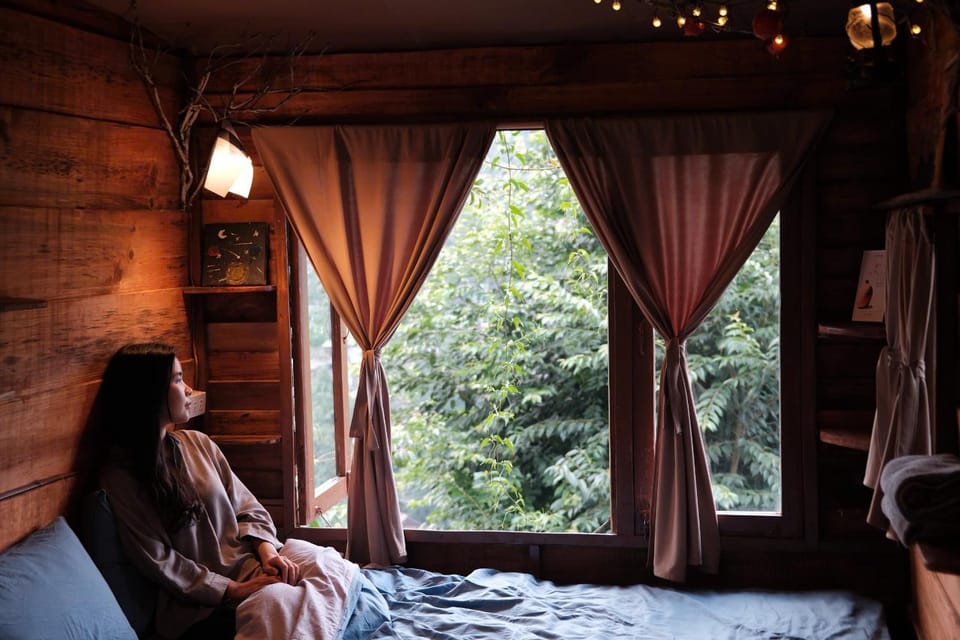 Bed, Natural landscape, Living room, Photo of the whole room, Bedroom