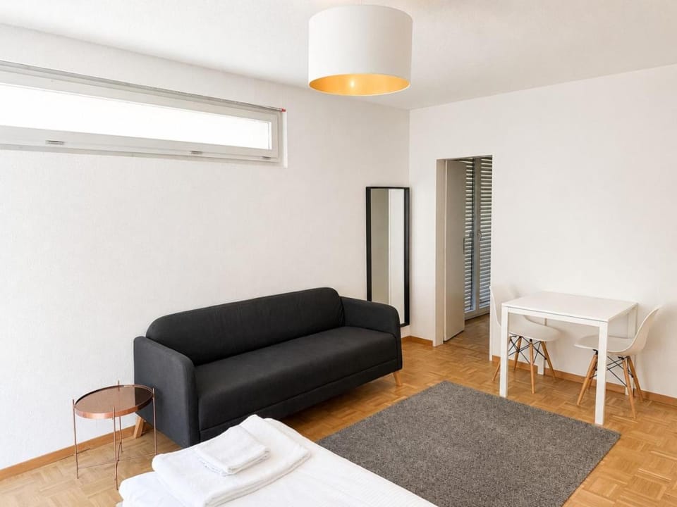 Fantastic studio in the city centre - Art 8 Apartment in Zurich City