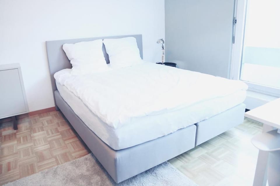 Fantastic studio in the city centre - Art 8 Apartment in Zurich City
