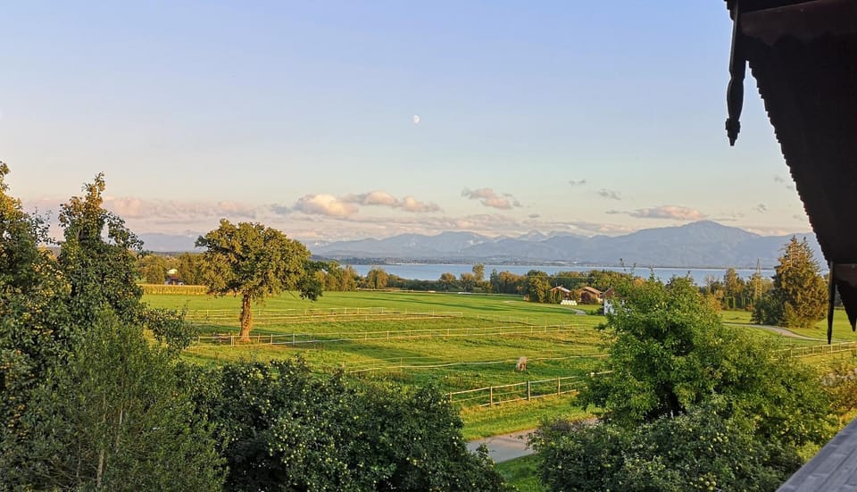 Moier-Hof LEX Farm Stay in Salzburgerland