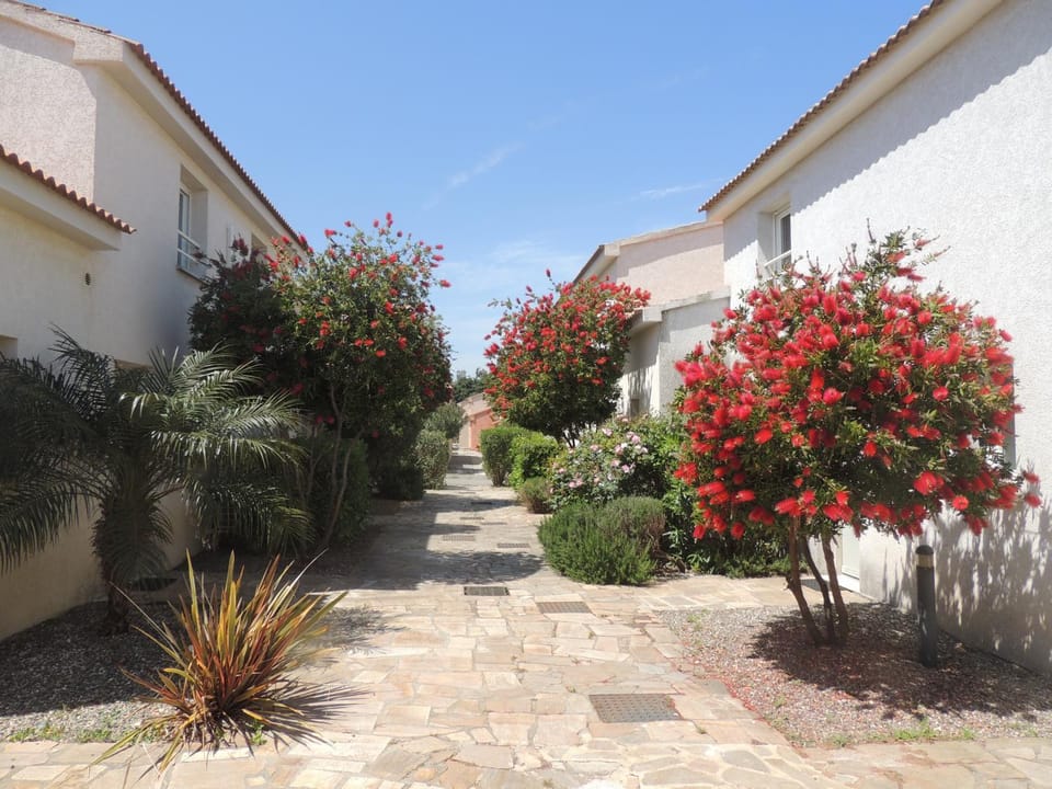 Mini villa T2, 200 m de la plage, piscine chauffée, jardin House in Corsica