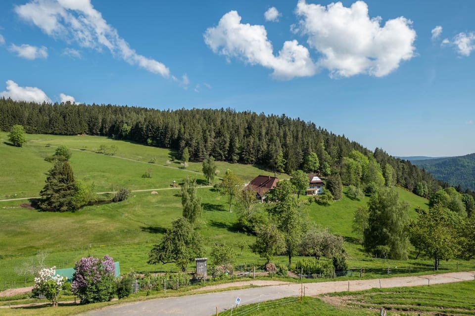 Paradieshof Apartment in Baden-Württemberg