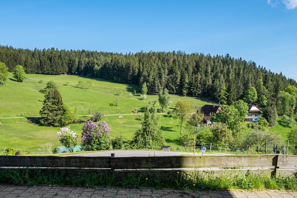Paradieshof Apartment in Baden-Württemberg