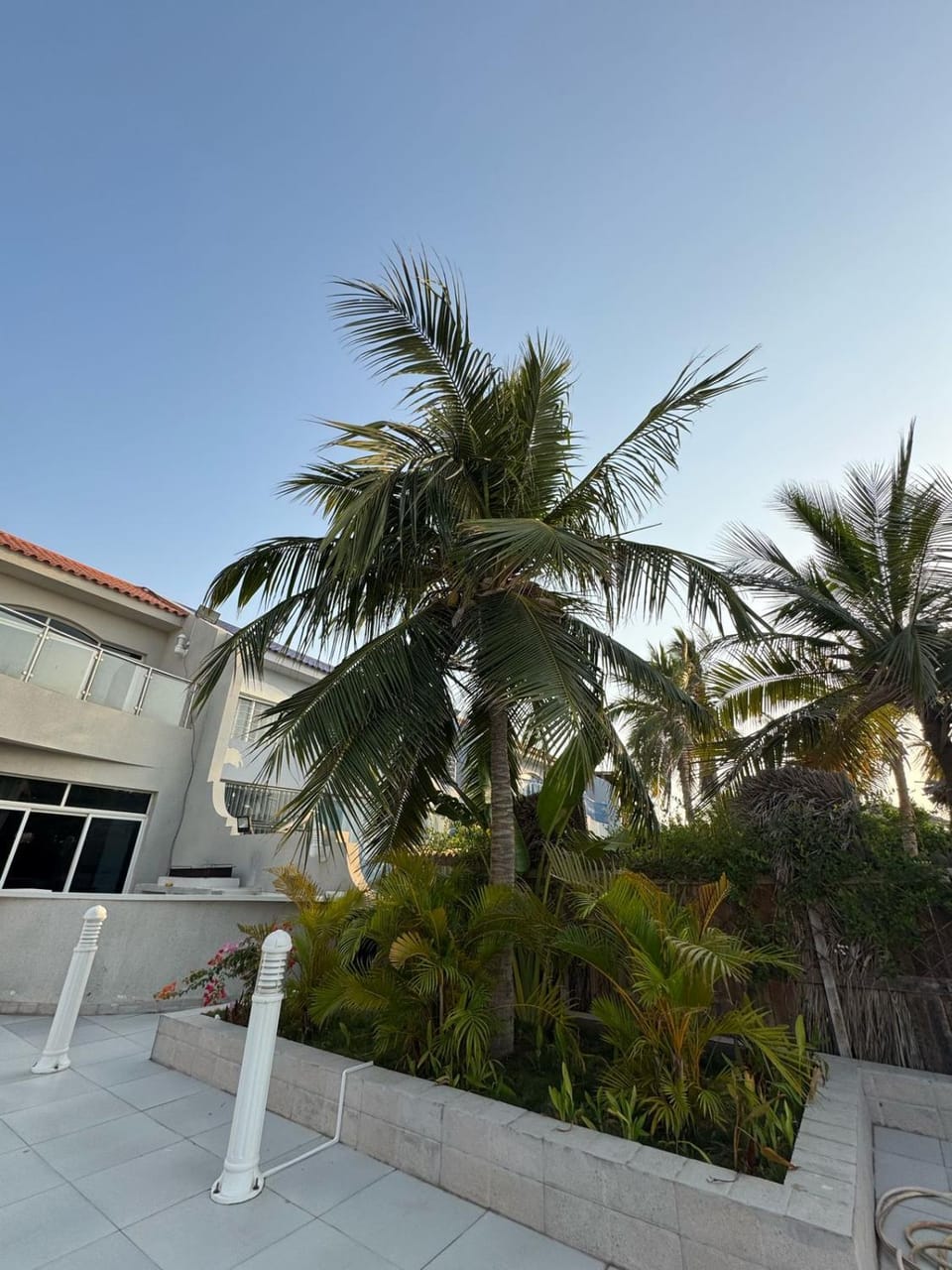 Rotana Villa - فيلا روتانا Villa in Saudi Arabia